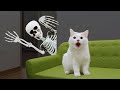 Funny Cats Vs Skeleton