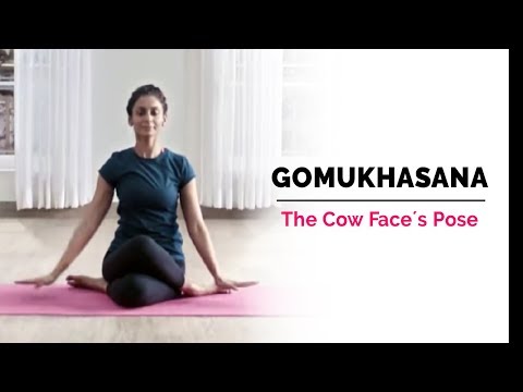 Gomukhasana | Cow Face Yoga Pose | Steps | Benefits | Yogic Fitness