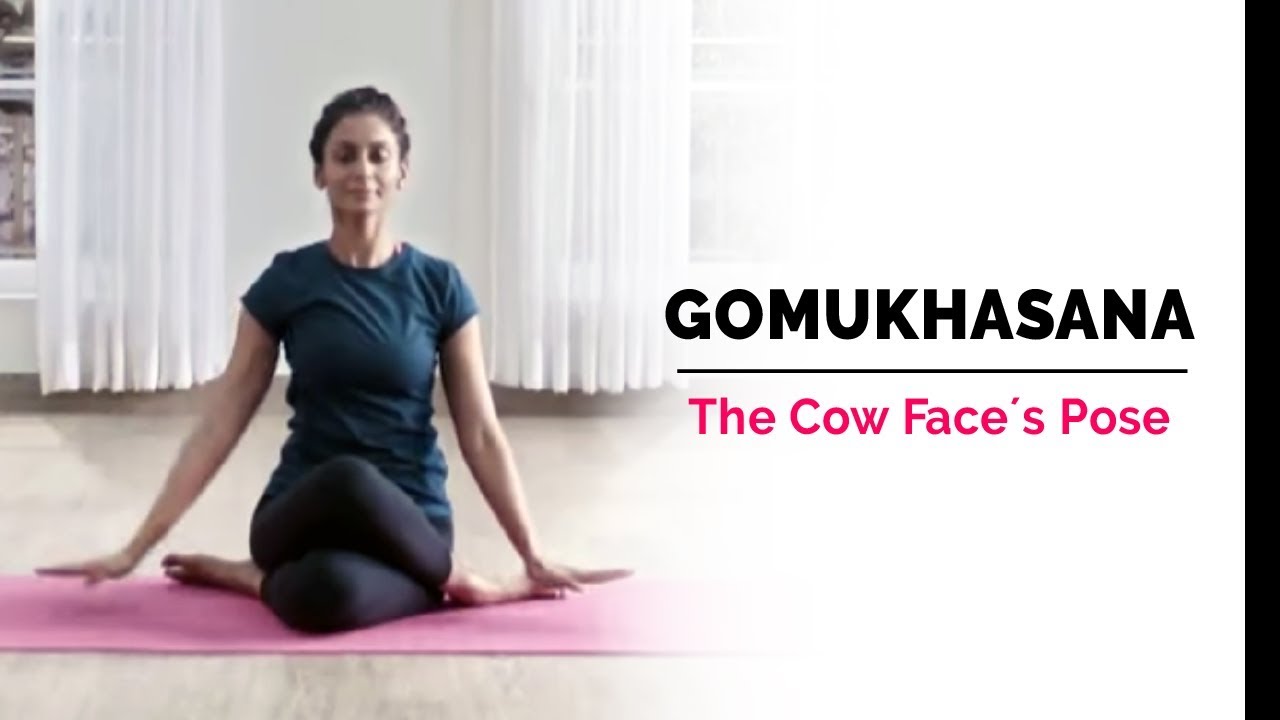 Gomukhasana | Cow Face Yoga Pose | Steps | Benefits | Yogic Fitness - YouTube