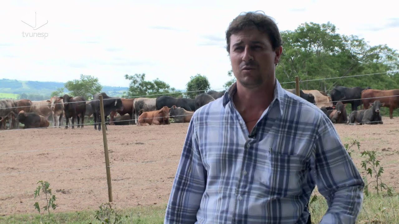 Guia de Profissões | Zootecnia