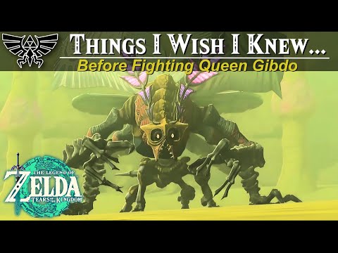 Things I Wish I Knew Before Fighting Queen Gibdo Tips & Tricks | Zelda, Tears of the Kingdom Guide