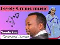 Best Oromo Borana Music Mahammad Sheekaa Yaada Kee Haddaartube4405