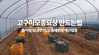 고구마 모종 묘상 만드는 법
