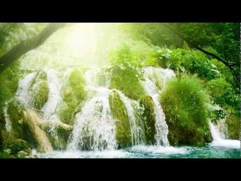 Most relaxing Music ever - Rain Forest Meditation