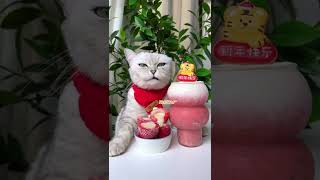 Sweety Cat Cook Sweet Strawberry Condensed Milk | Homemade Drink Recipe | Cute Cat TikTok #Shorts
