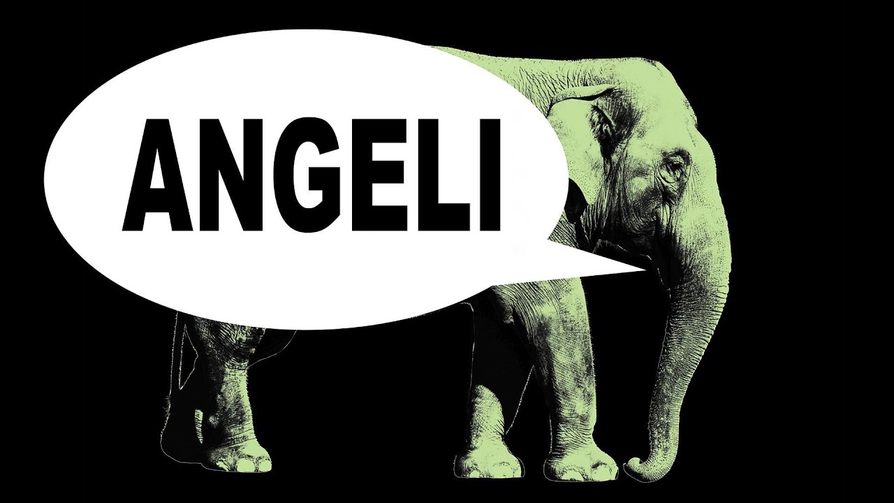 Sábados da Memória - Angeli - HQMIX TV