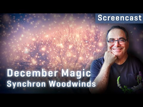 Synchron Woodwinds: December Magic, by Guy Bacos