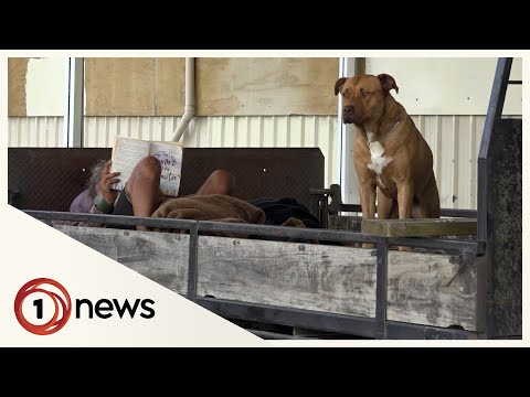 Need for housing in Northland reaches all-time high