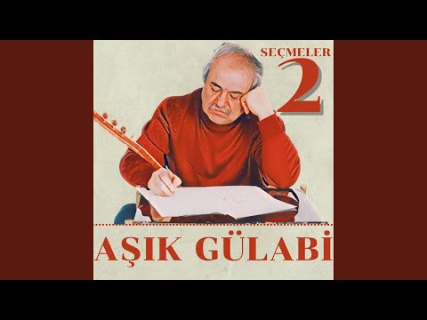 Video Yükleniyor...