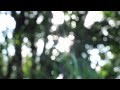 Minors - Toro y Moi (Unofficial HD Music Video)