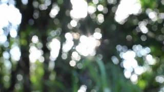 Minors - Toro y Moi (Unofficial HD Music Video)