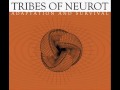 Tribes of Neurot "Small Size" 04