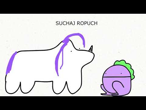 Rada dla ropucha - kuce z bronksu (stworzył dem3000)