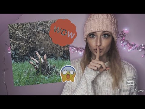 download lagu mp3 mp4 How To Make Creepy Hands, download lagu How To Make Creepy Hands gratis, unduh video klip How To Make Creepy Hands