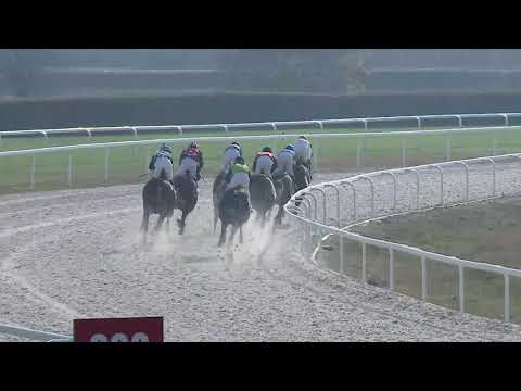 2019.10.27. 02. futam - BAYER ANDRÁS EMLÉKVERSENY HENDIKEP (III.o.) (szintetikus pálya)