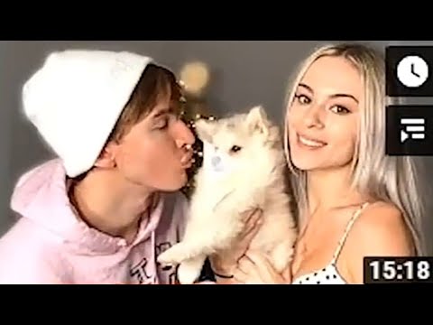 GETTING OUR NEW POMSKY PUPPY!! (Does Bedrock like her?) REUPLOAD