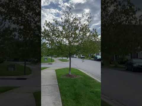 2 Bedroom Townhouse Available August 2027;  Monthly rent $1,800 property video