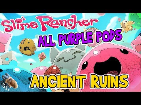 Slime Rancher - All Purple Treasure Pods - Ancient Ruins