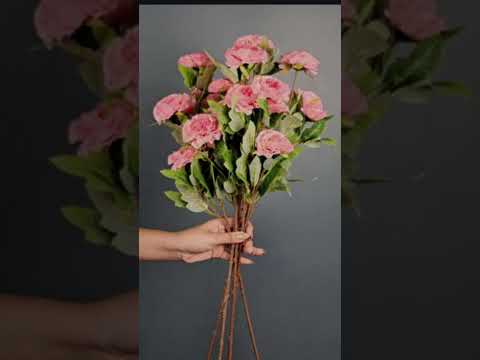 Flowers#shorts#yt shorts#flower#rase#love........