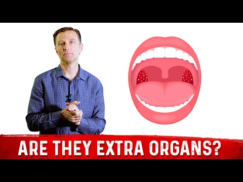 What is Tonsils & Do You Need Them? – Dr.Berg