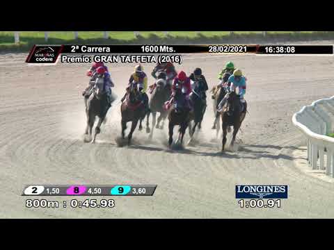 210228 c02 LEOPARDO CAMPEON