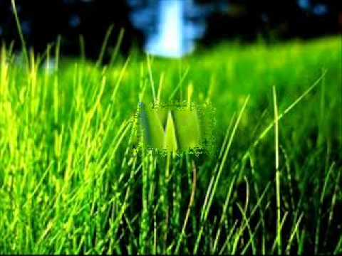 mai avem nevoie si de iarba