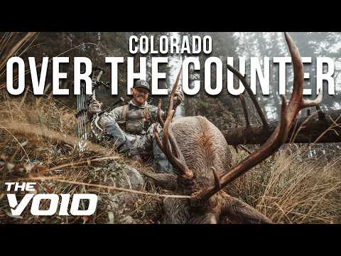 DIY Colorado OTC Archery Elk Hunt | Seizing the Opportunity at a Public Land Bull!