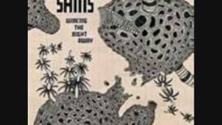 The Shins - Saint Simon.wmv