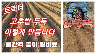 트랙터로 고추밭 두둑 만들기 2023년 골간격 두둑 높이 밑비료 등 상세  풀뿌리농장 괴산청결고추 [고추재배…