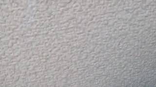 かめむしと、格闘パート2笑笑虫嫌いな方は、見ないでください！