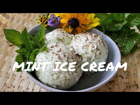 Mint Ice Cream from fresh Mint Leaves