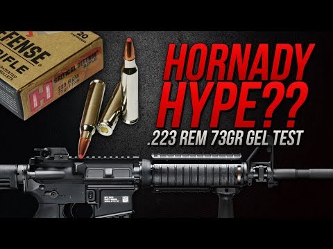 Hornady Hype? .223 Rem Hornady 73gr Critical Defense Gel Test