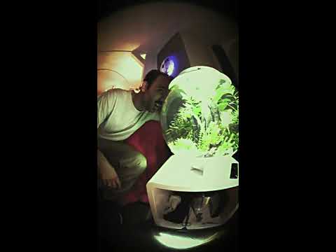 download lagu mp3 mp4 Schiebedach, download lagu Schiebedach gratis, unduh video klip Schiebedach