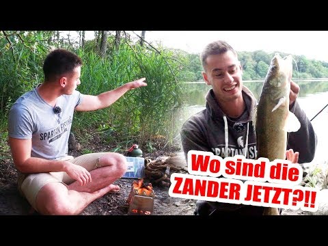 Du findest keine ZANDER JETZT IM SOMMER? | Die beste Stelle beim Zander Angeln!
