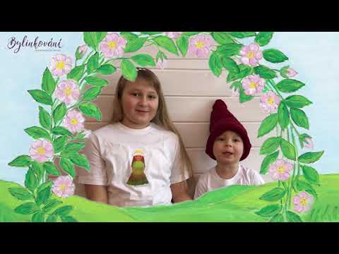 Kniha pohádek Bylinkové království