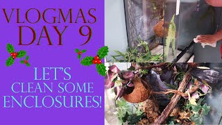 Vlogmas Day 9 | LET'S CLEAN SOME ENCLOSURES!