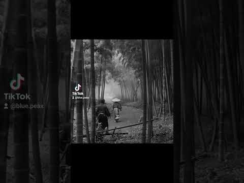 Harakiri (Masaki Kobayashi) | Blue Peax - Miyamoto Musashi