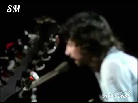 Wild World - Cat Stevens