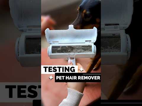Testing The Best Pet Pet Hair Remover! Does It Work?