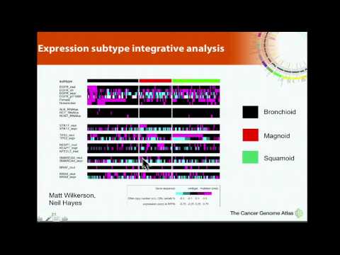 TCGA: Comprehensive Analysis of Lung Adenocarcinoma - Matthew Meyerson