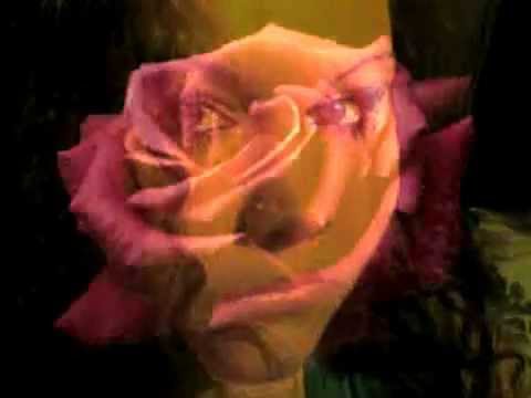 Jessica Weiß ~~ Eine Träne die man Lacht, brauch man nicht Weinen (art Doo Wop)