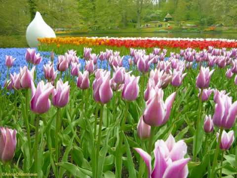 NABIRSE TIMILAI  DEEPAK KHATIWADA