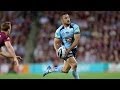 Hayne and Inglis v REGGIE BUSH - YouTube