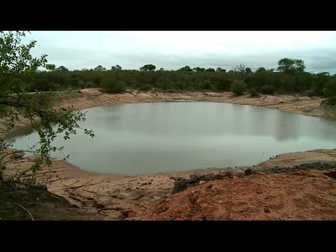 March 09 Finally Rain at Djuma!!