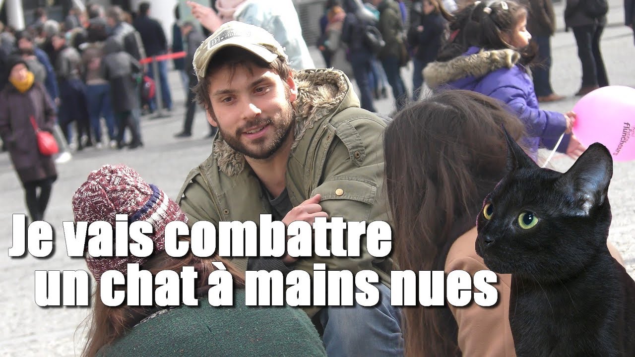 J'applique la technique de drague du combattant de chats (caméra cachée)