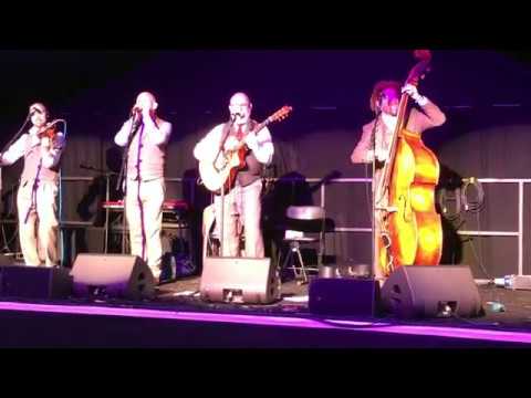 The Malingerers - George Clooney - Cambridge Folk Festival 2017