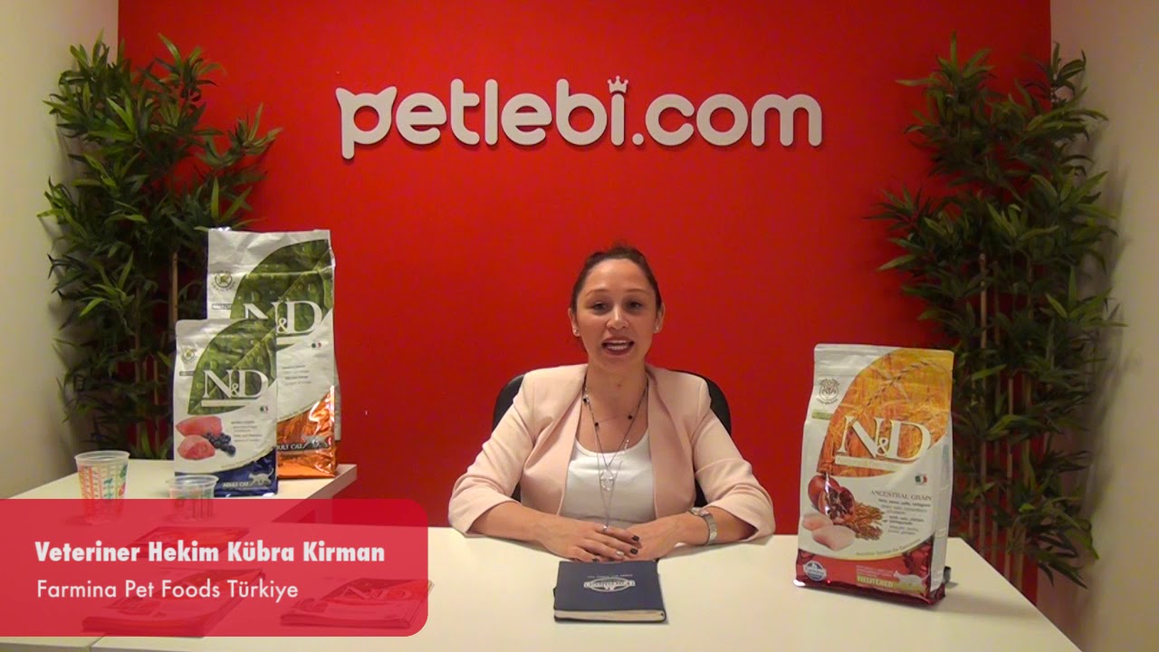 N&D Ancestral Grain Tavuklu ve Narlı Ata Tahıllı Kısırlaştırılmış Kedi Maması 10kg tanıtım video görseli