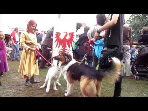 Cave Gladium Furth im Wald 14  17 8 2014