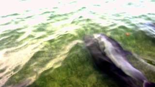 Part One Tribe - Stay Mine