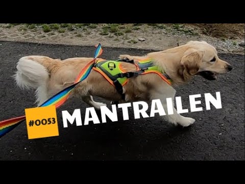 #0053 Ein Kilometer kreuz und quer durch die Siedlung Apfelmoar